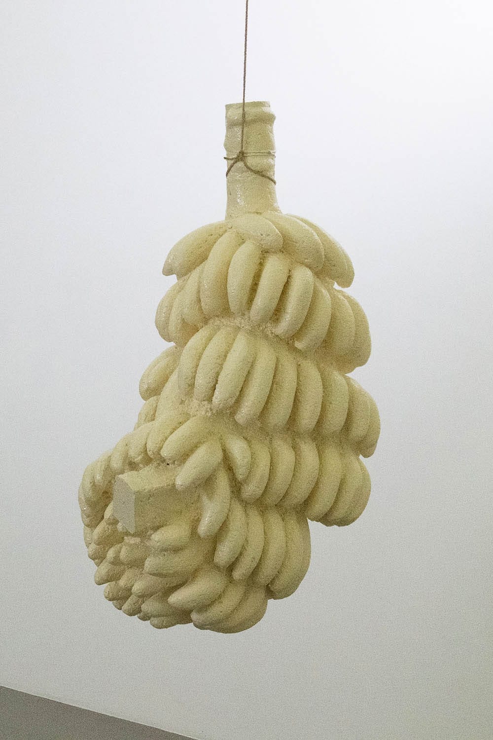 Naufus Ramírez–Figueroa